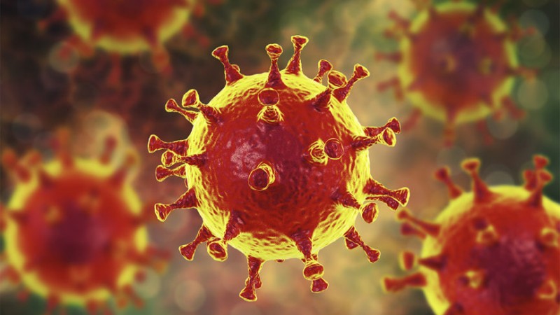 imagem do coronavirus