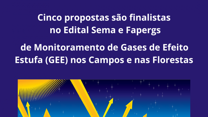 Resultado do edital da Sema