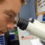 Jovem pesquisador no microscópio